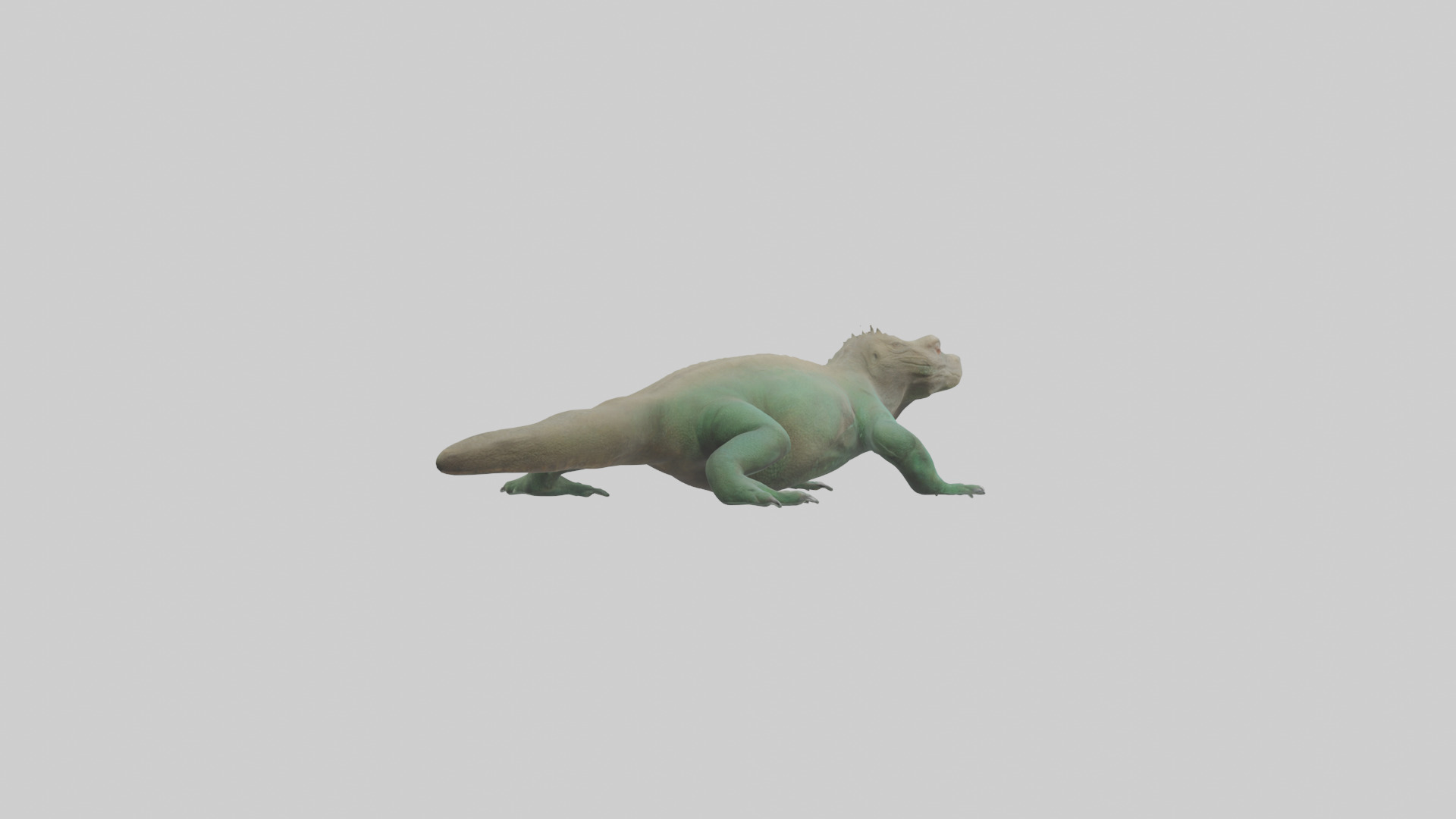 Komodo Dragon resting model Low-poly 3D model_4