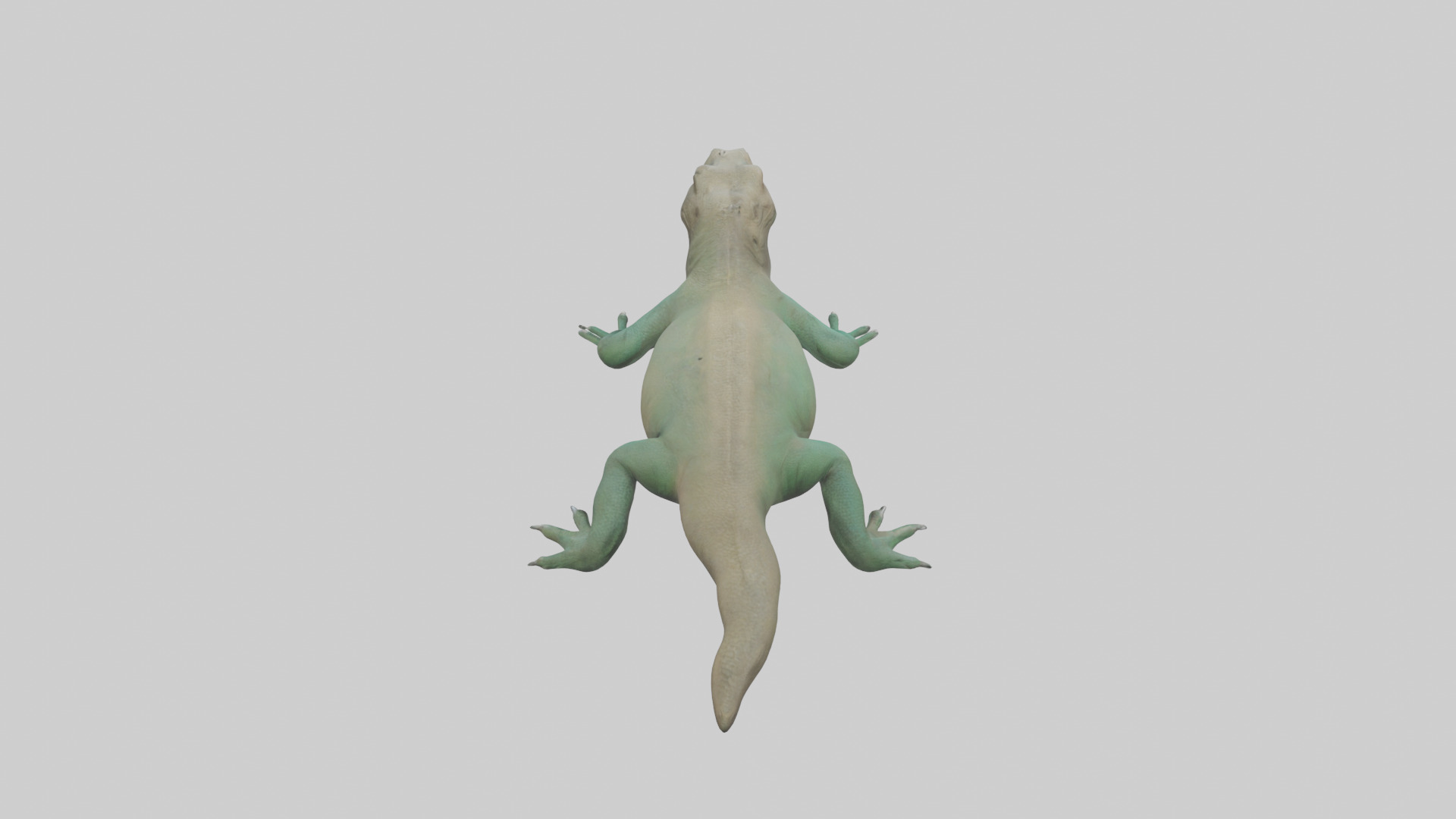 Komodo Dragon resting model Low-poly 3D model_15