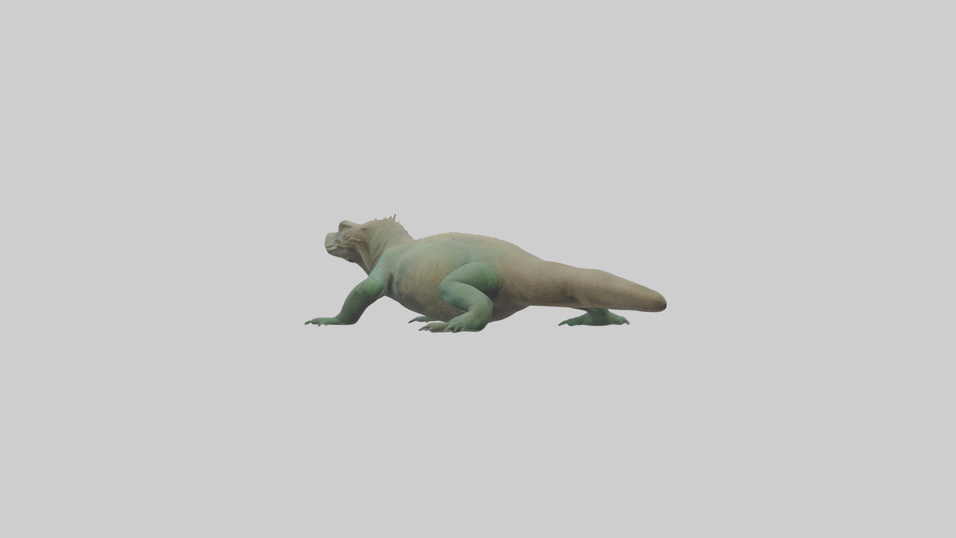 Komodo Dragon resting model Low-poly 3D model_3