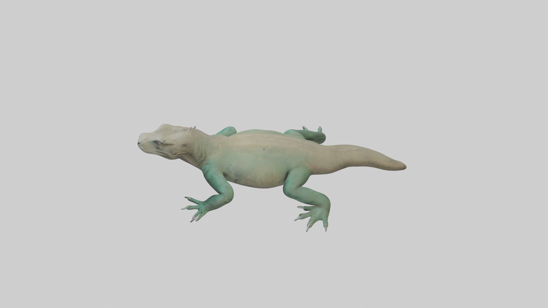 Komodo Dragon resting model Low-poly 3D model_17