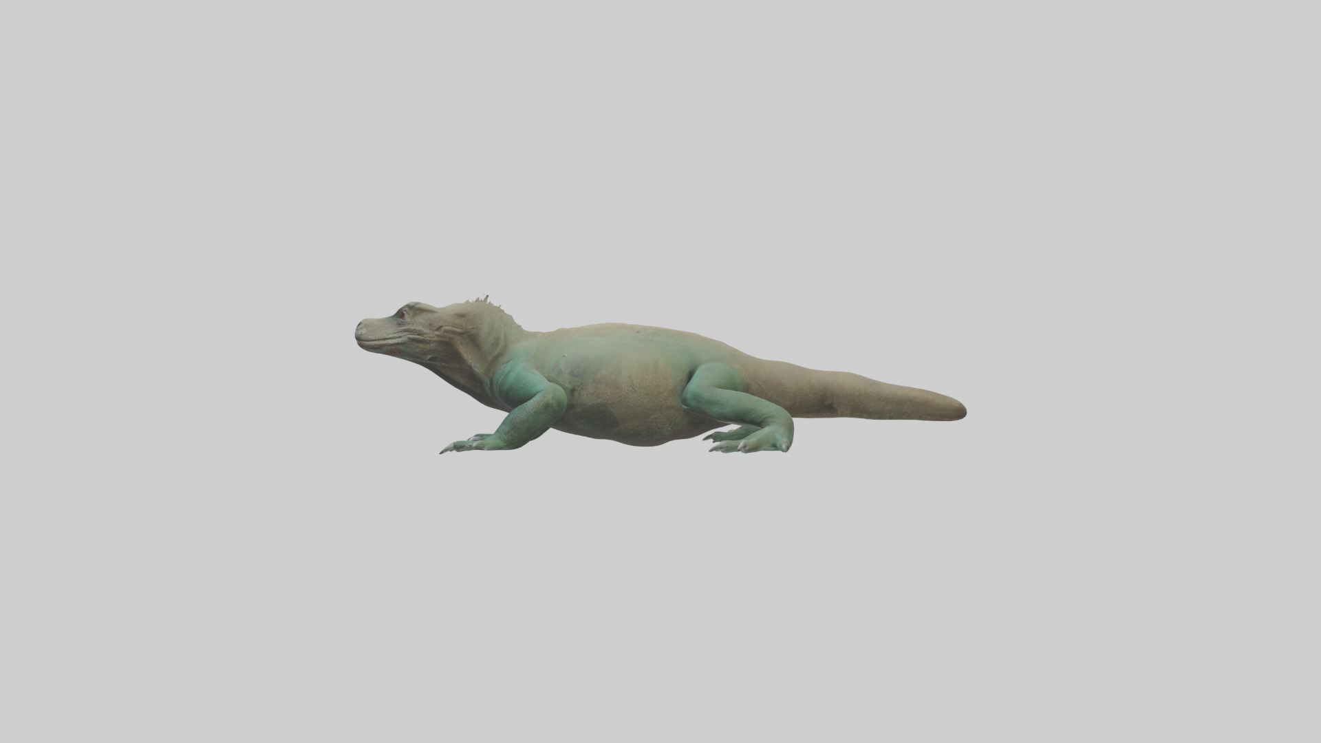 Komodo Dragon resting model Low-poly 3D model_12