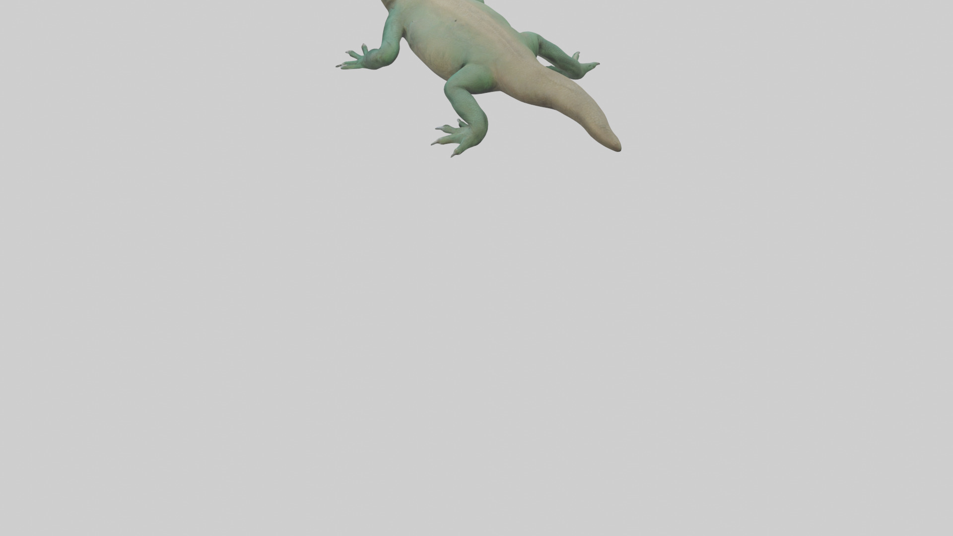 Komodo Dragon resting model Low-poly 3D model_5