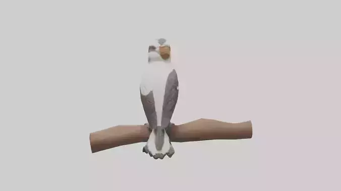 Kookaburra perched model