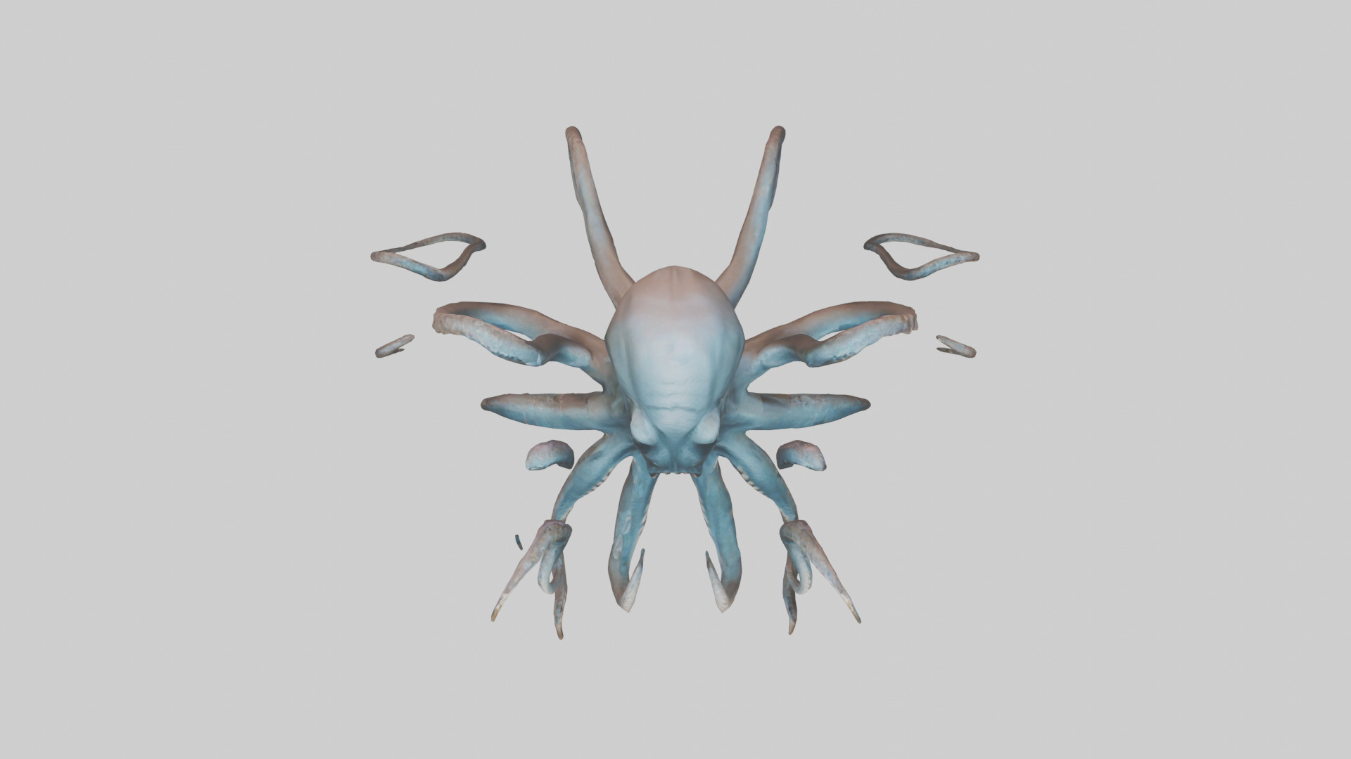 Kraken model Low-poly 3D model_14