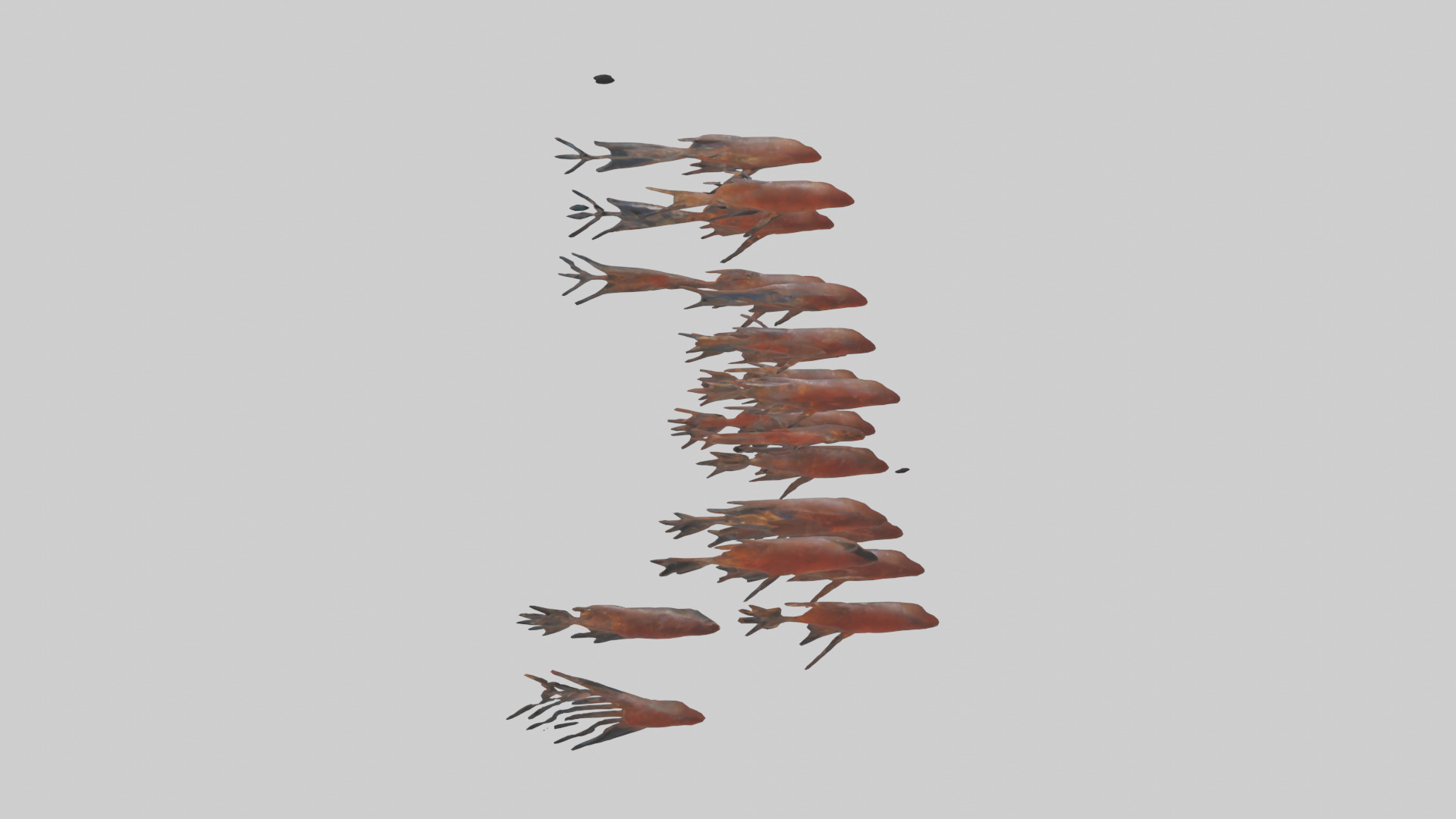 Krill swimming in swarm model Low-poly 3D model_18