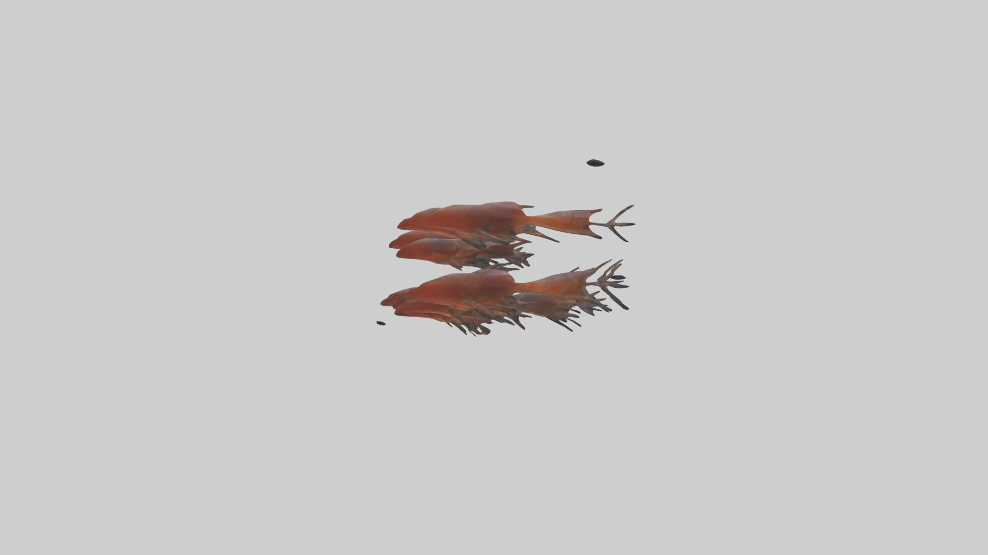 Krill swimming in swarm model Low-poly 3D model_12
