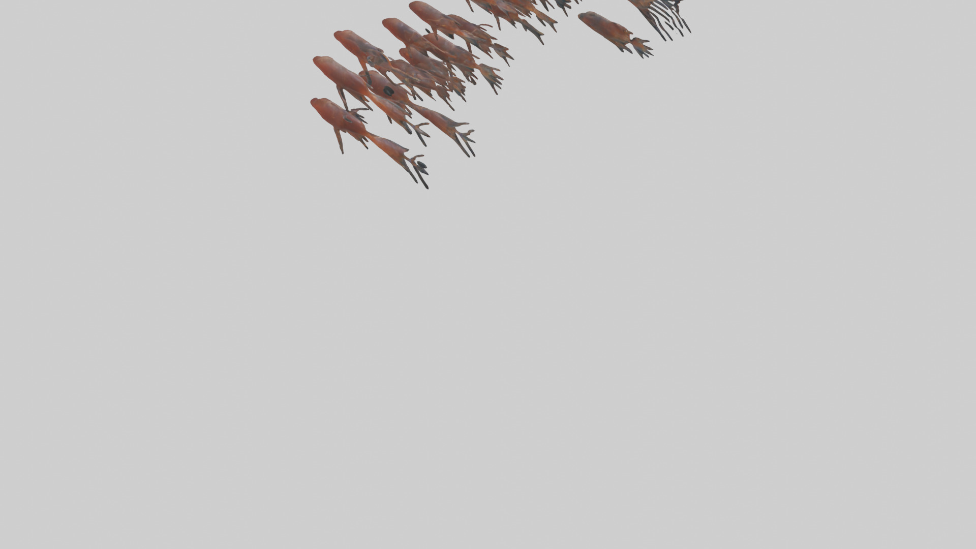Krill swimming in swarm model Low-poly 3D model_3