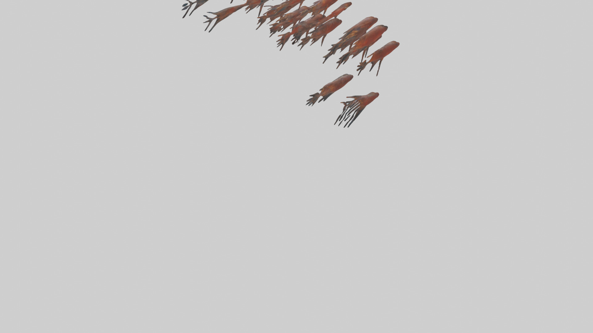 Krill swimming in swarm model Low-poly 3D model_4