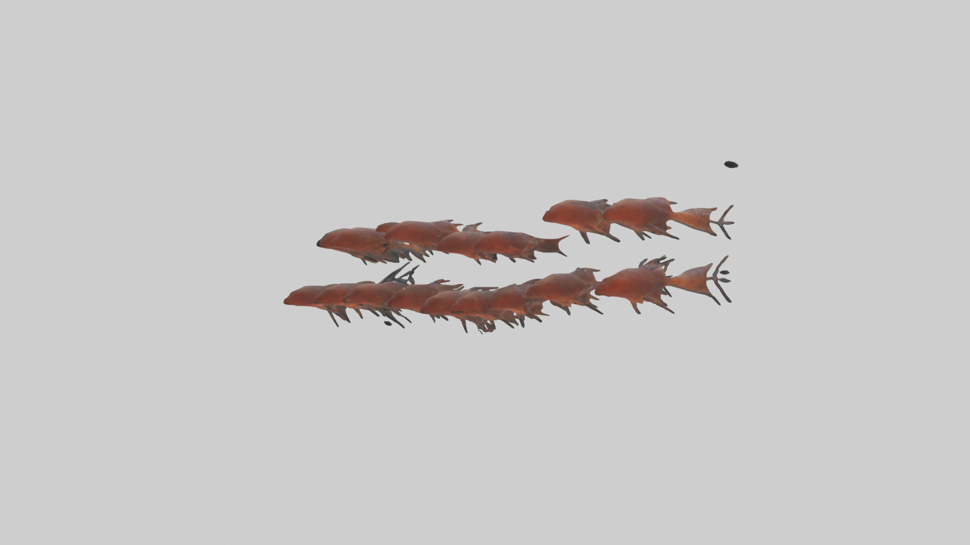 Krill swimming in swarm model Low-poly 3D model_10