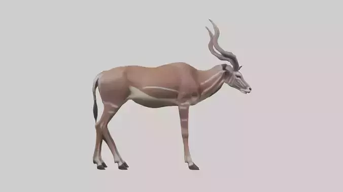 Kudu grazing model
