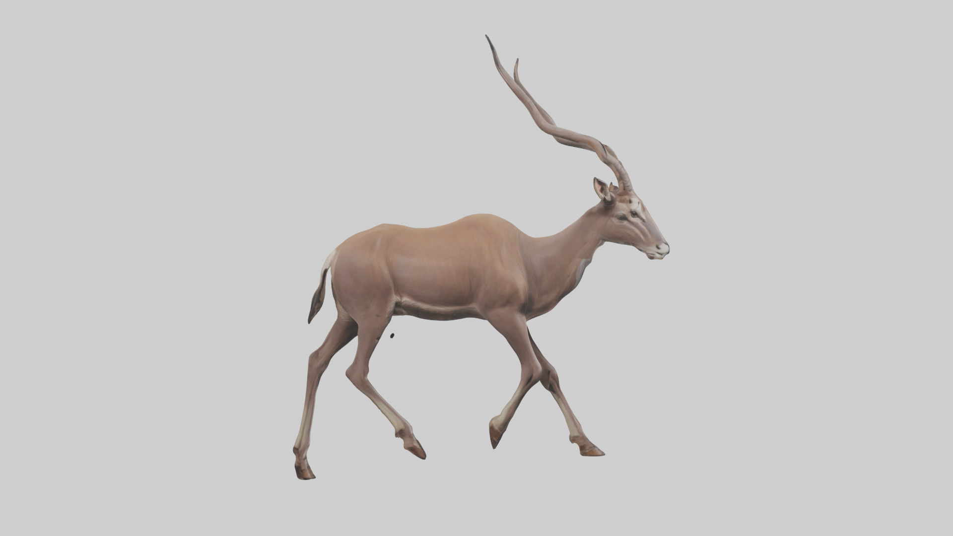 Kudu walking through brush model Low-poly 3D model_13