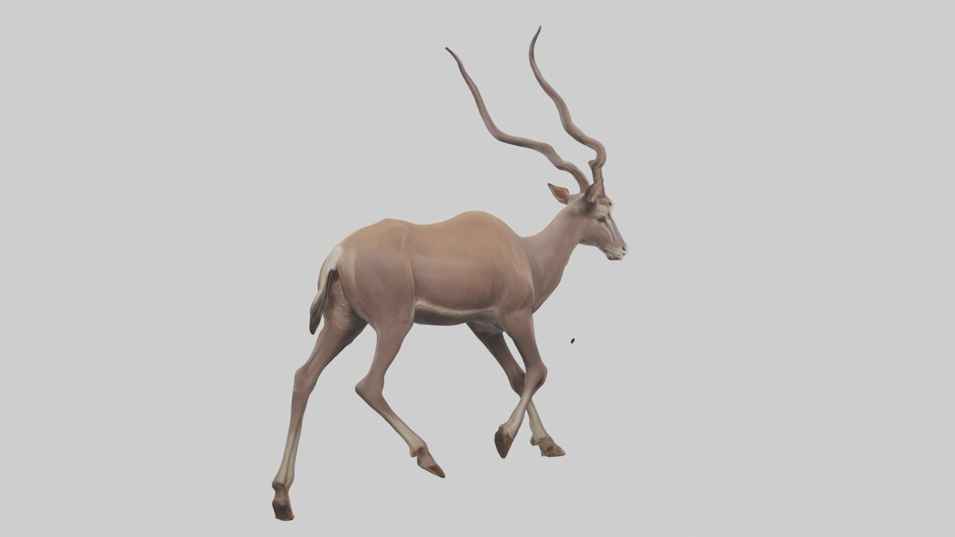 Kudu walking through brush model Low-poly 3D model_2