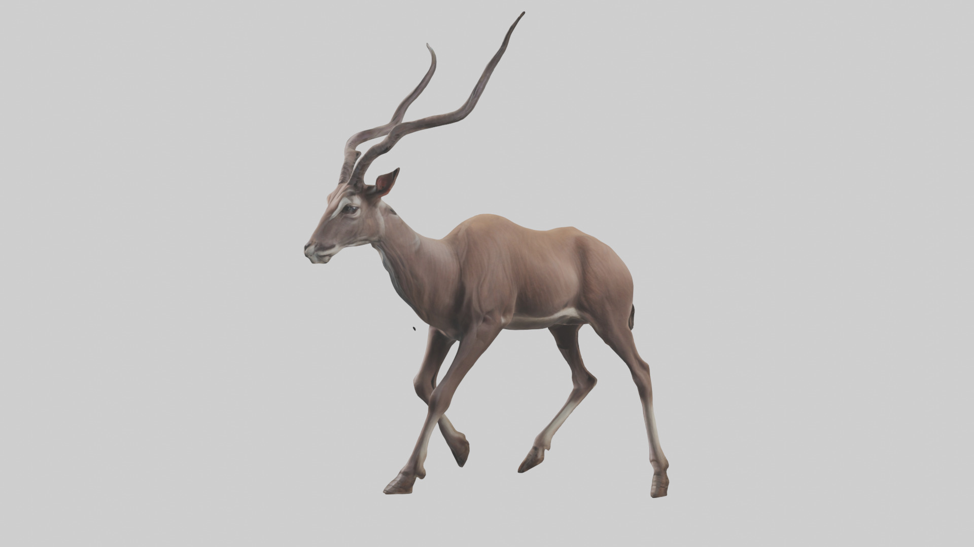 Kudu walking through brush model Low-poly 3D model_10