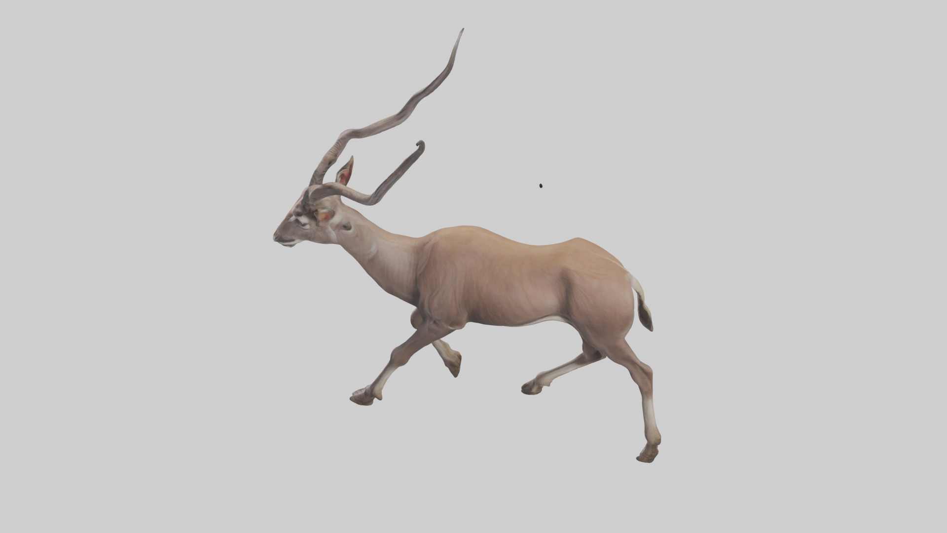 Kudu walking through brush model Low-poly 3D model_17