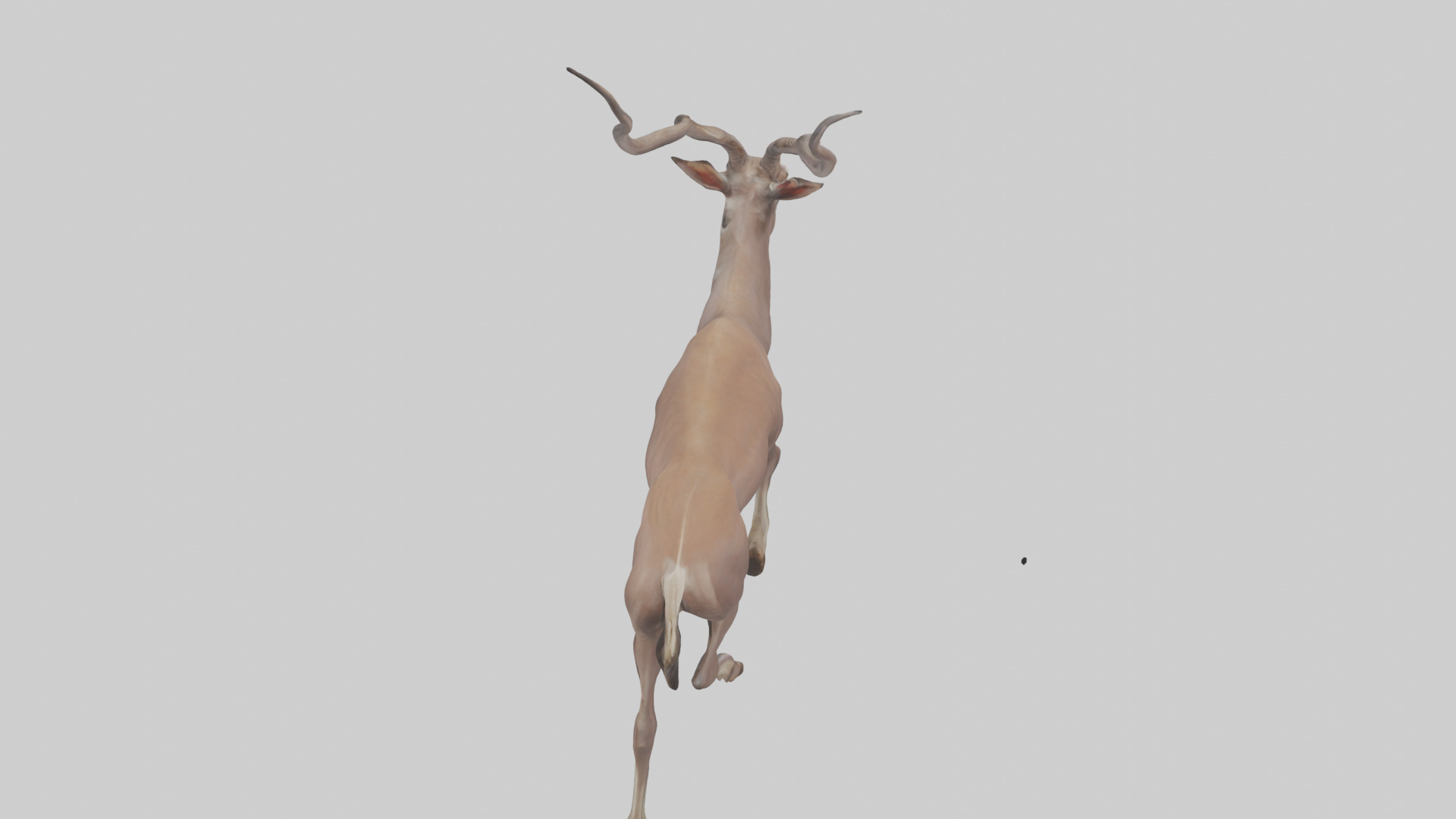 Kudu walking through brush model Low-poly 3D model_15