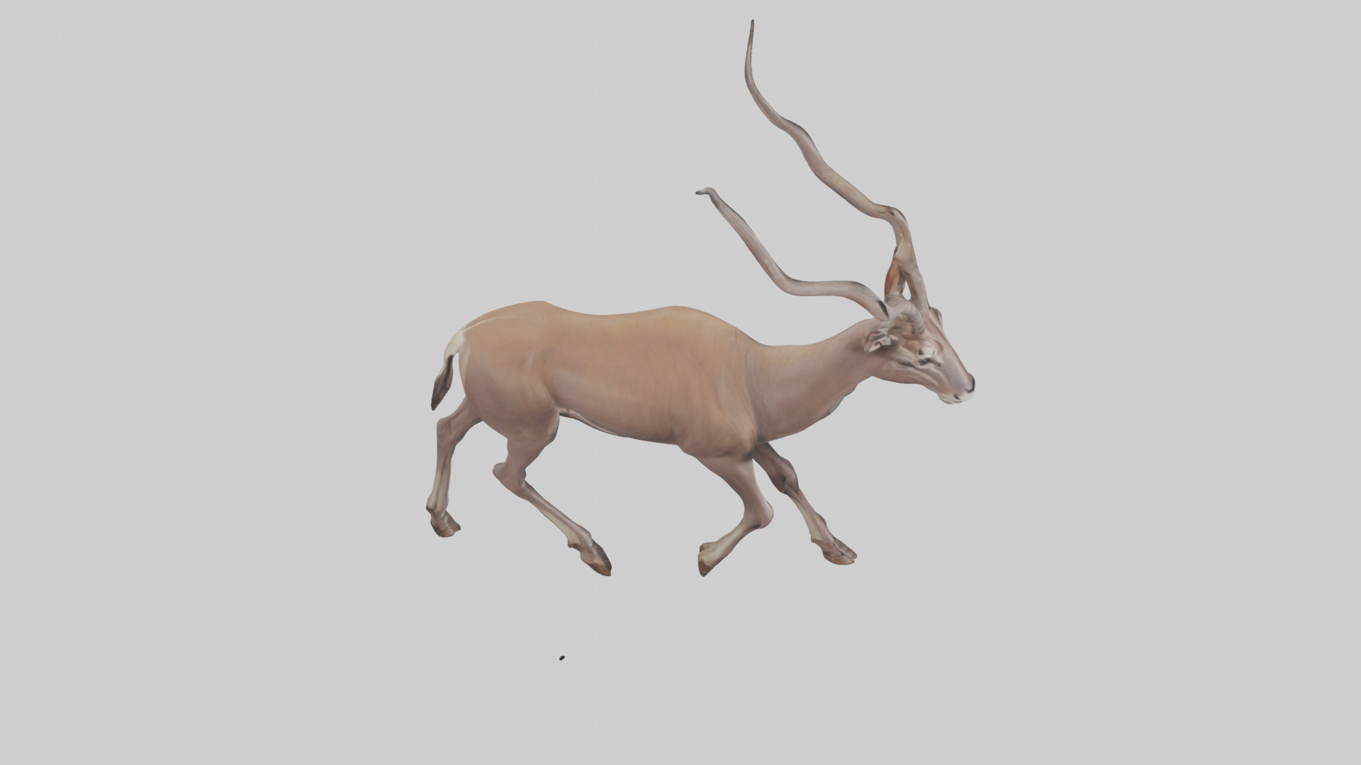 Kudu walking through brush model Low-poly 3D model_18