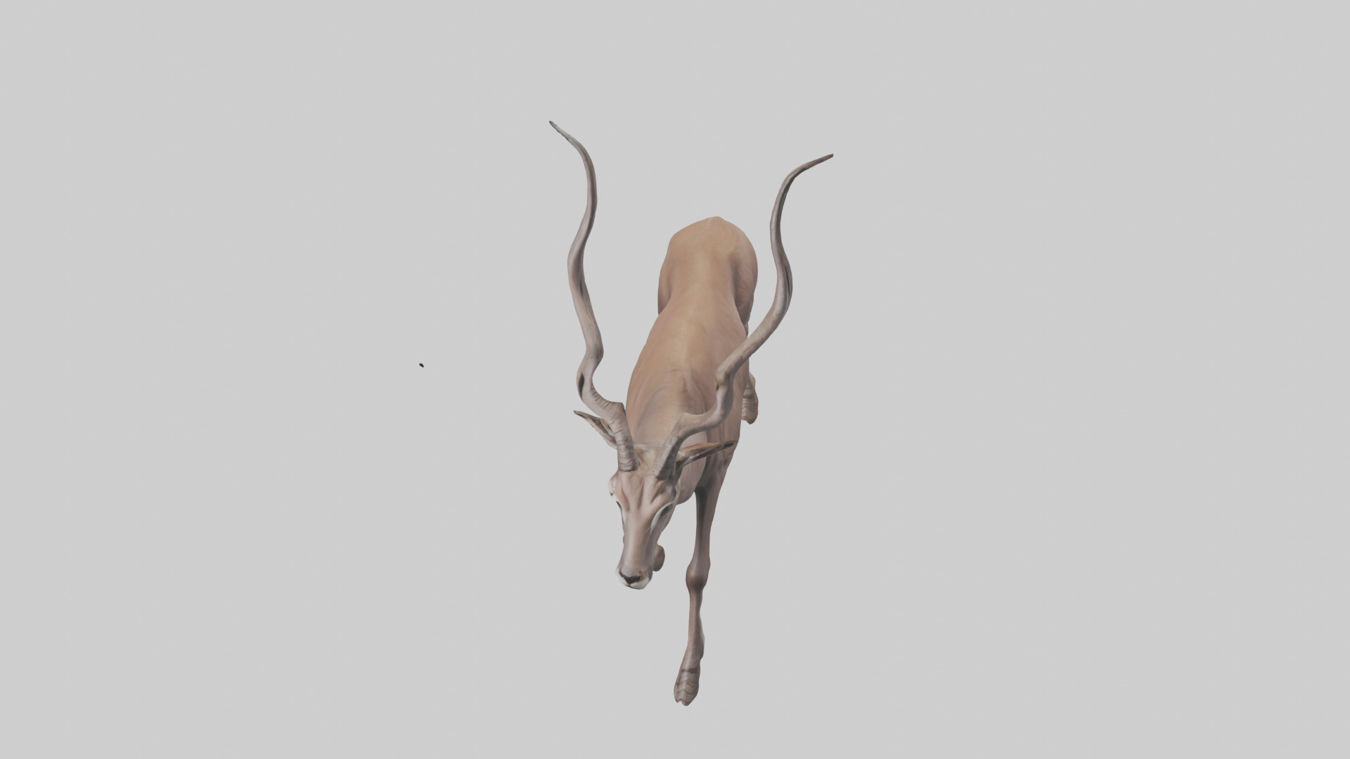 Kudu walking through brush model Low-poly 3D model_16