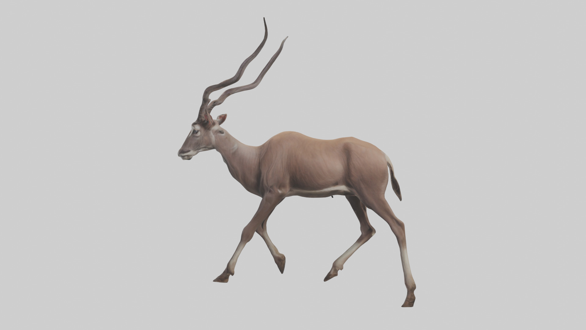 Kudu walking through brush model Low-poly 3D model_12