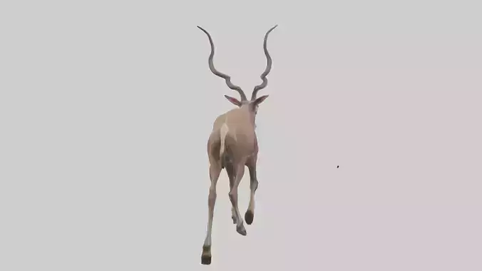 Kudu walking through brush model