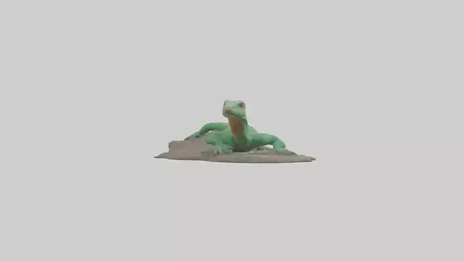 Lacerta Lizard resting model