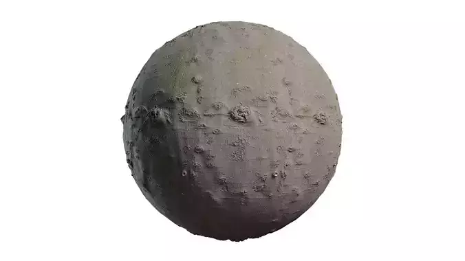 Anydrafts Magnolia liliiflora Bark 06