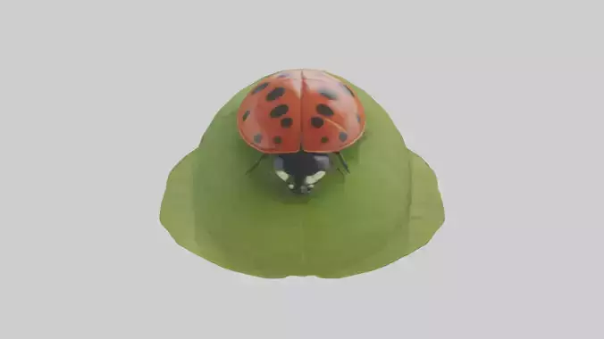 Ladybug climbing leaf model Low-poly 3D model