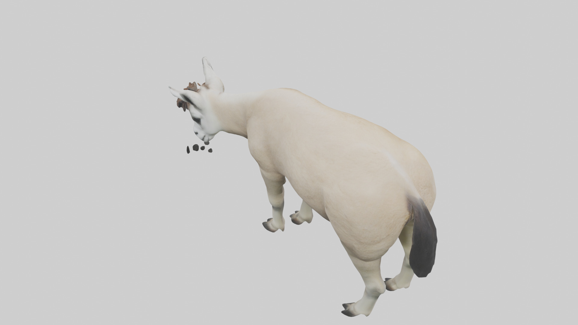 Lama grazing model Low-poly 3D model_15