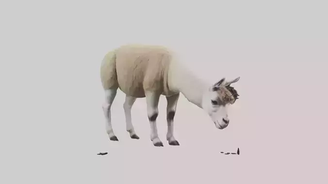 Lama grazing model