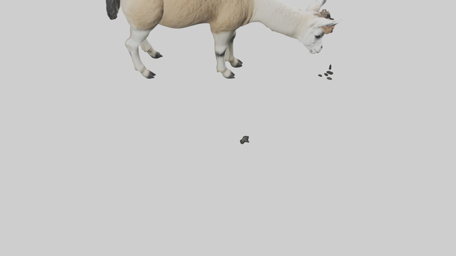 Lama grazing model Low-poly 3D model_7