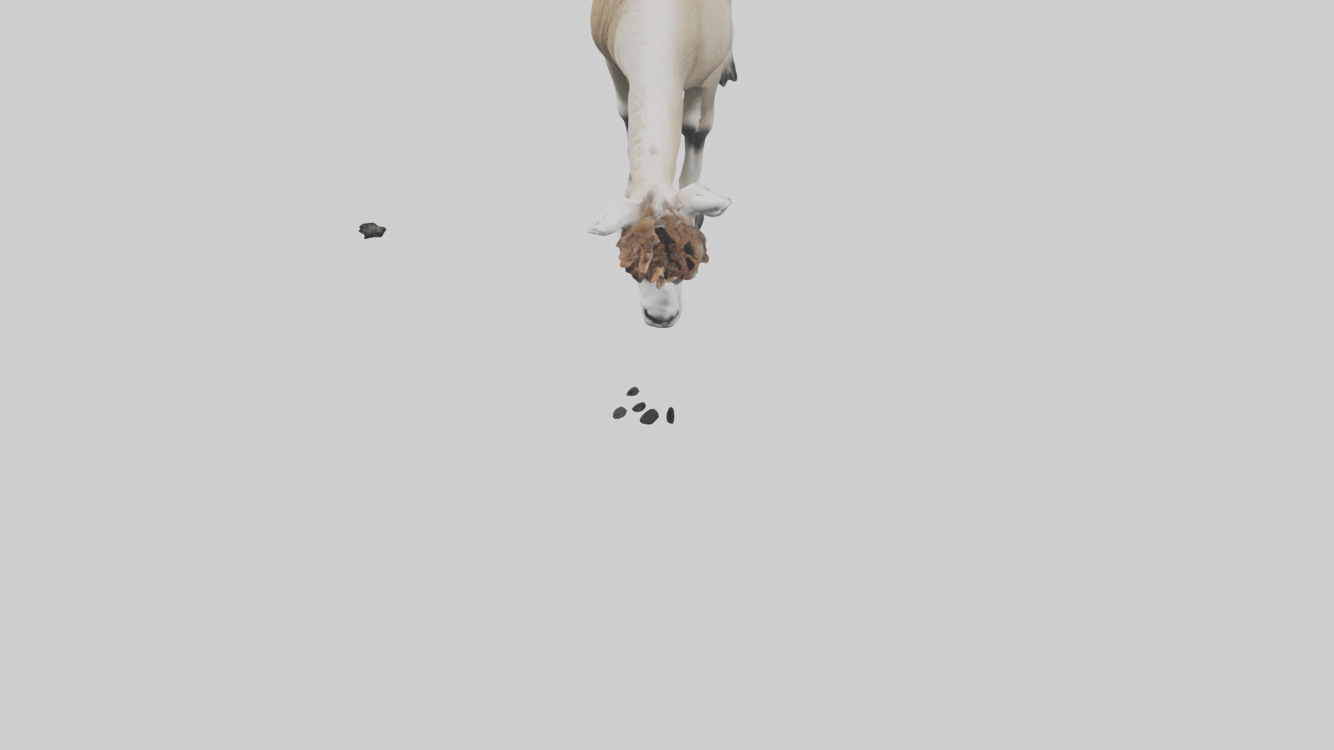 Lama grazing model Low-poly 3D model_6