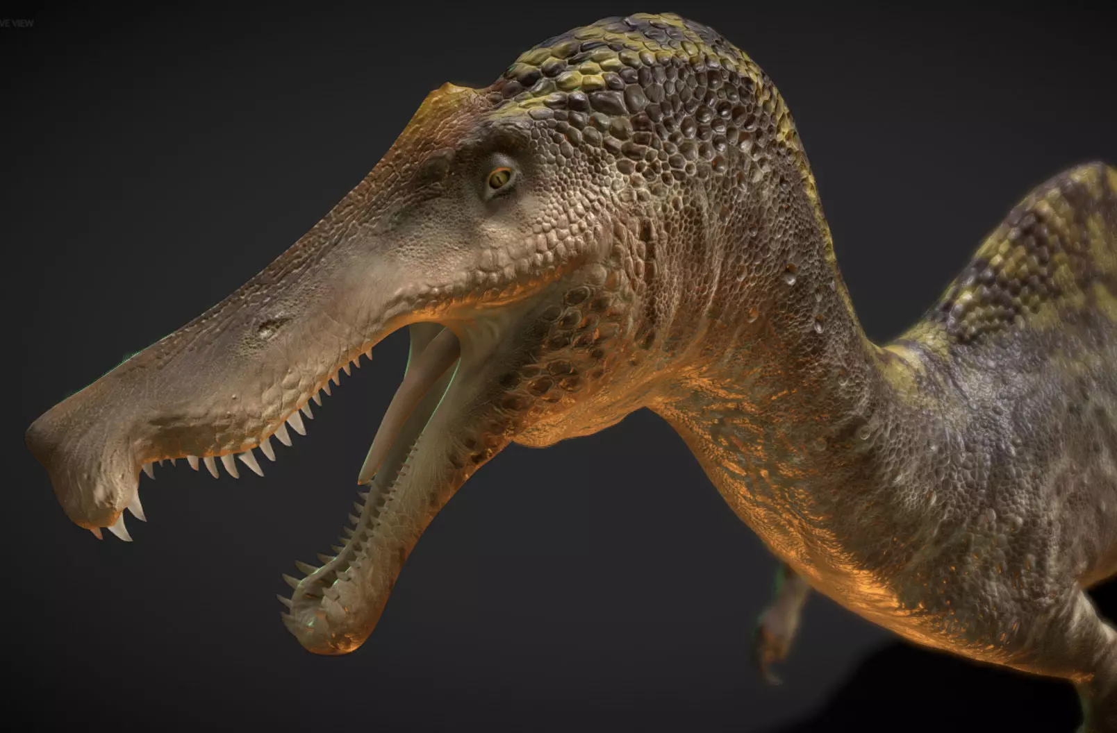 Irritator challengeri Low-poly 3D model_0