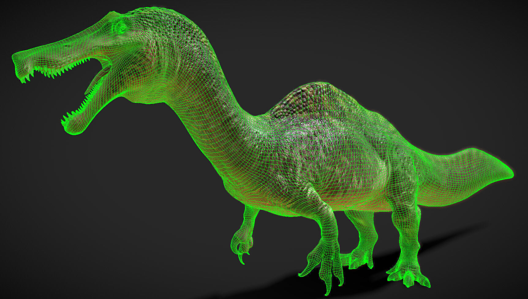 Irritator challengeri Low-poly 3D model_3