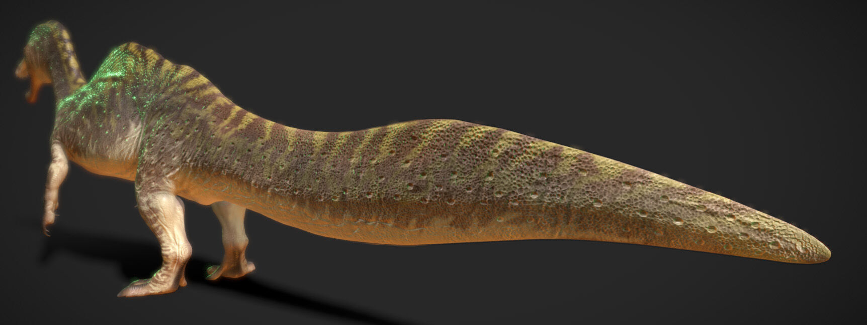 Irritator challengeri Low-poly 3D model_4