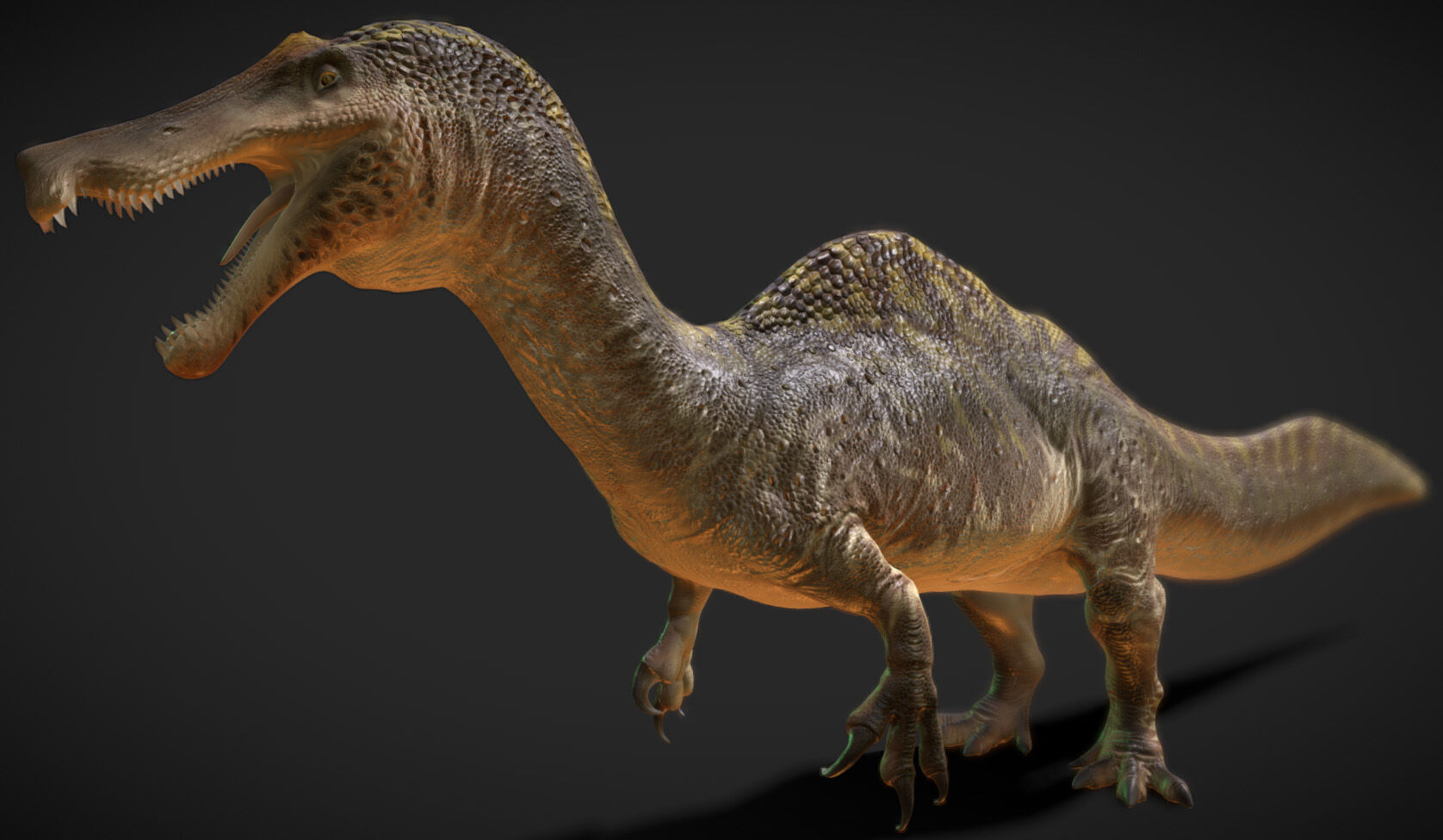 Irritator challengeri Low-poly 3D model_2