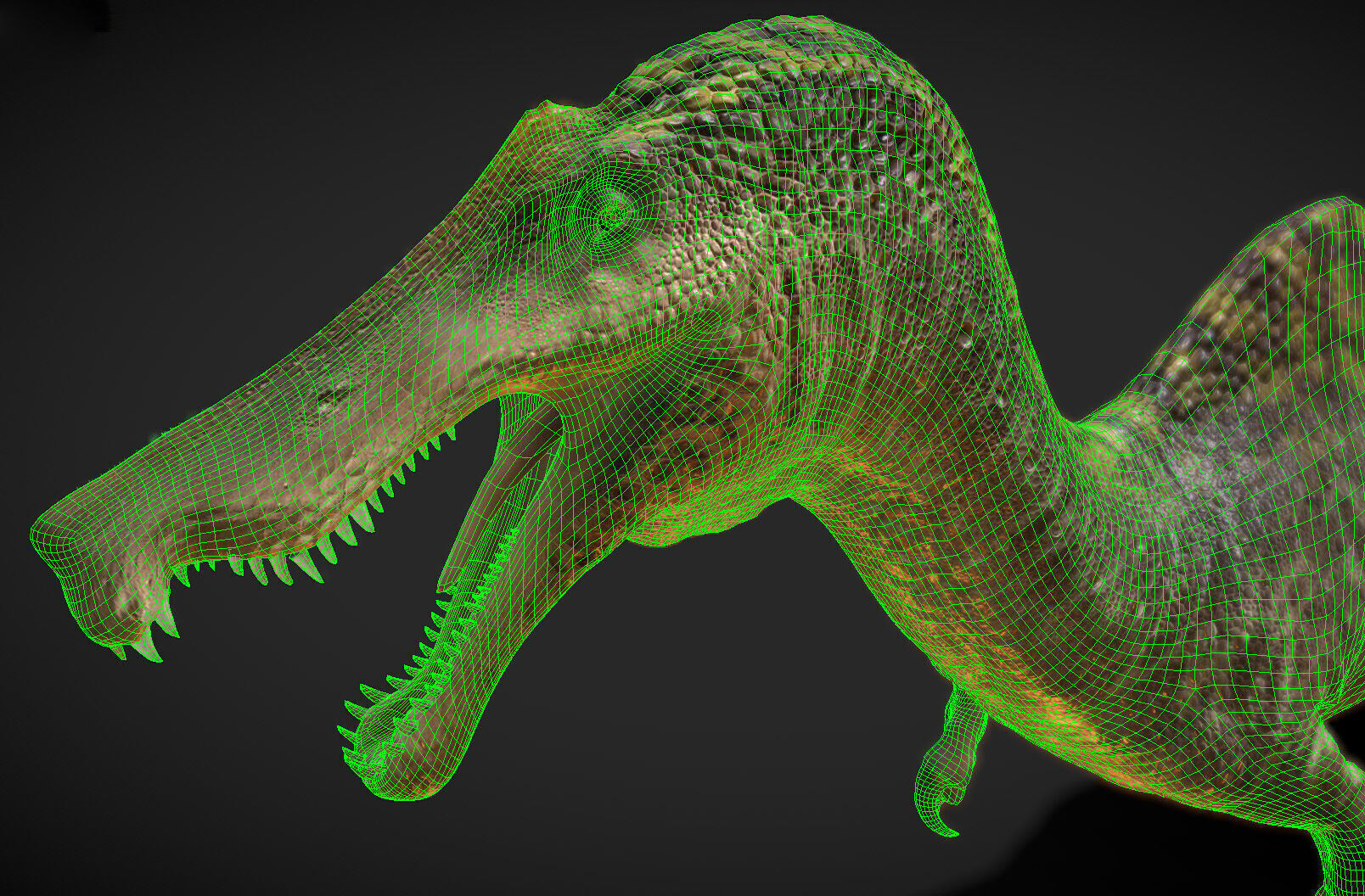 Irritator challengeri Low-poly 3D model_1