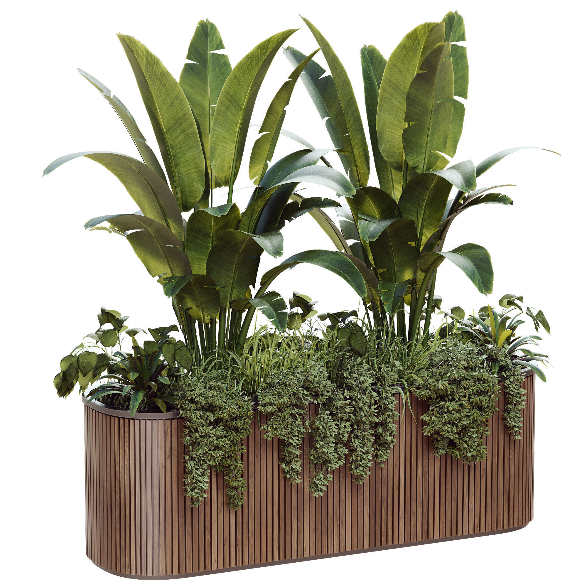 Outdoor Plant 39 3D model