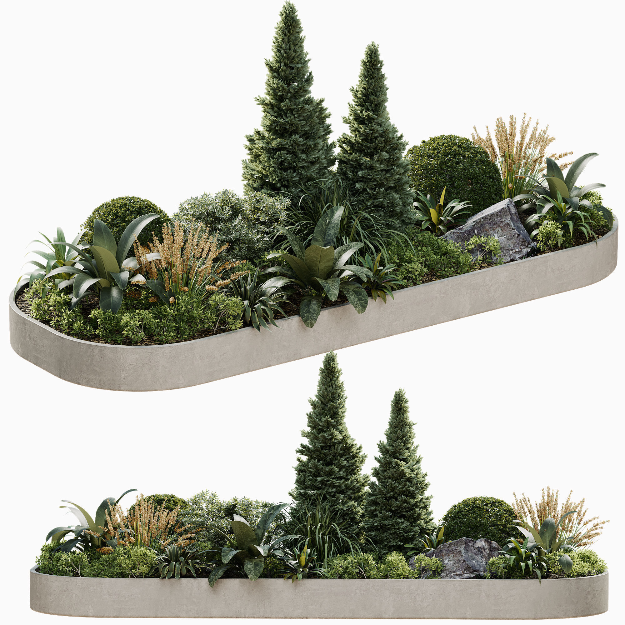 Outdoor Plant 38 3D model