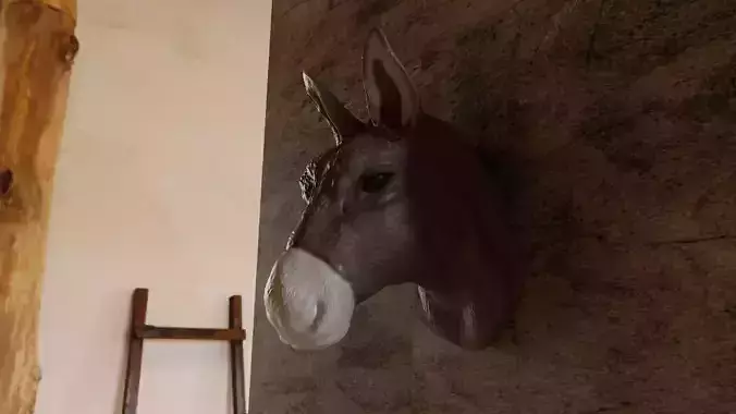 Donkey wall mount decor STL 3D print model