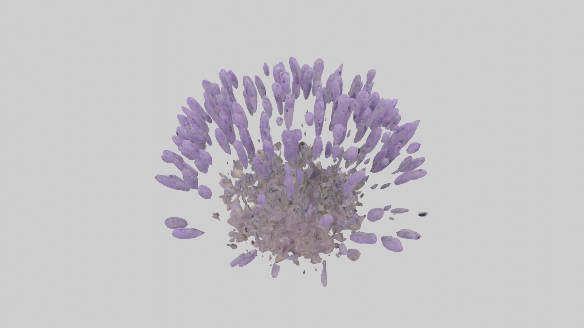 Lavender model Low-poly 3D model_15