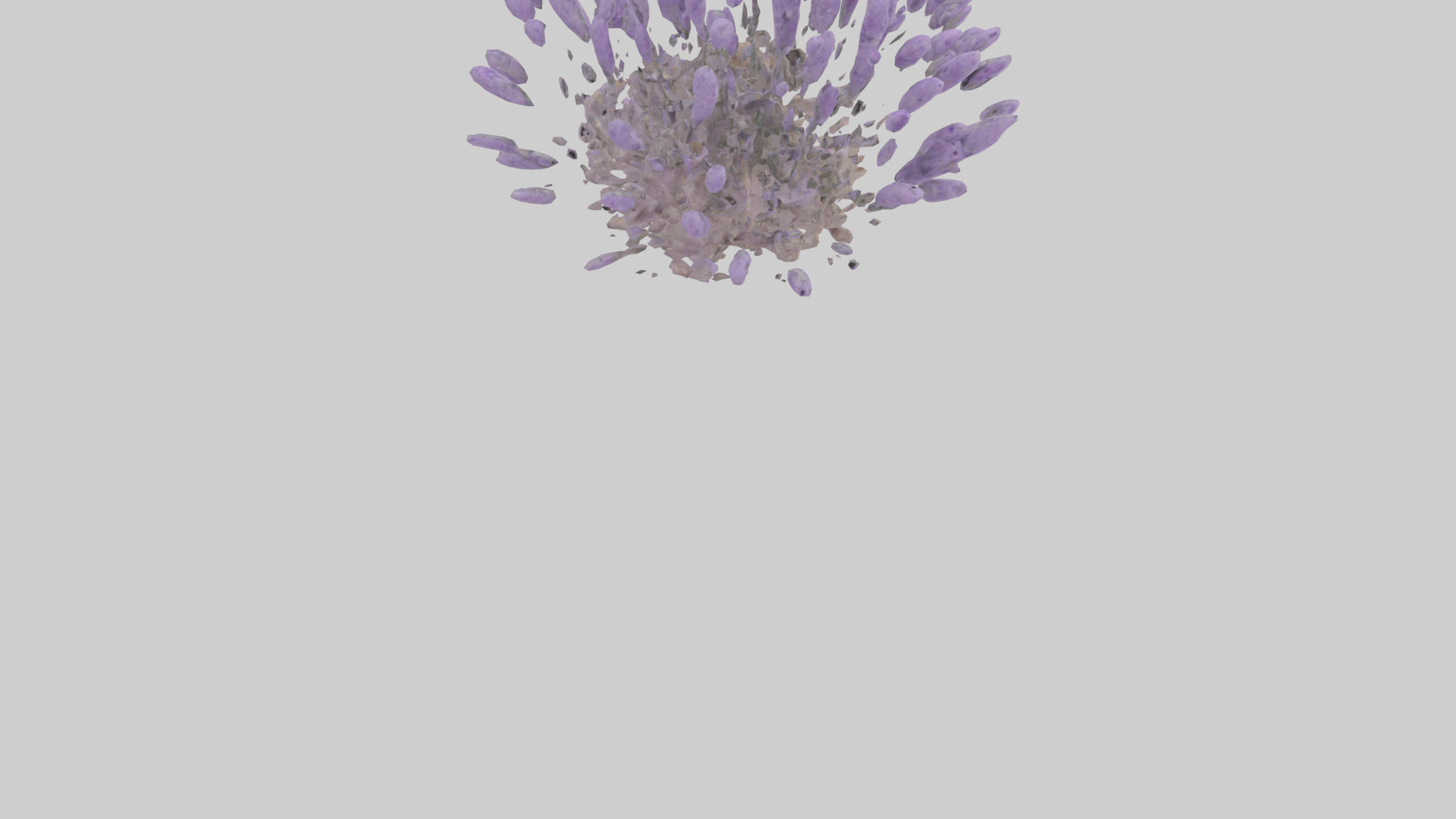Lavender model Low-poly 3D model_4
