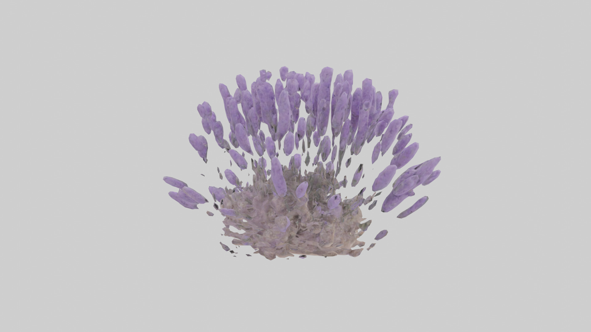 Lavender model Low-poly 3D model_2