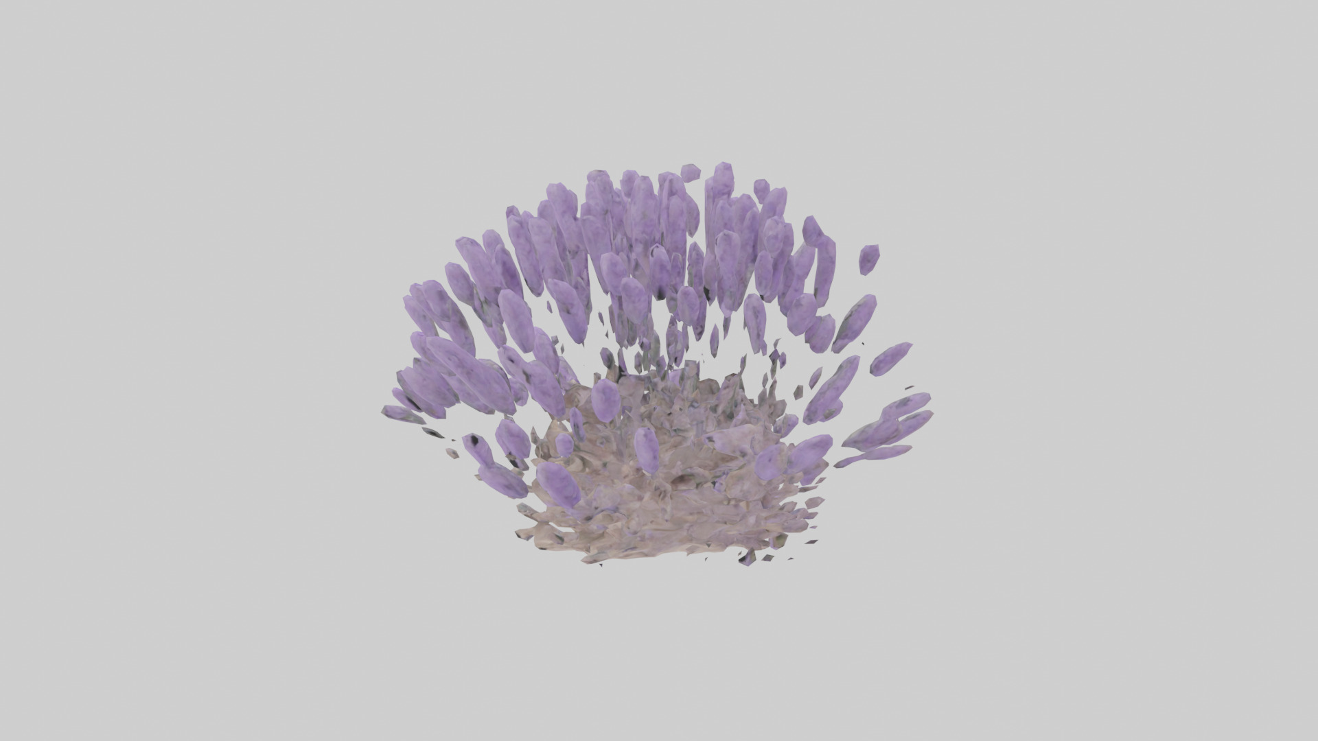 Lavender model Low-poly 3D model_12