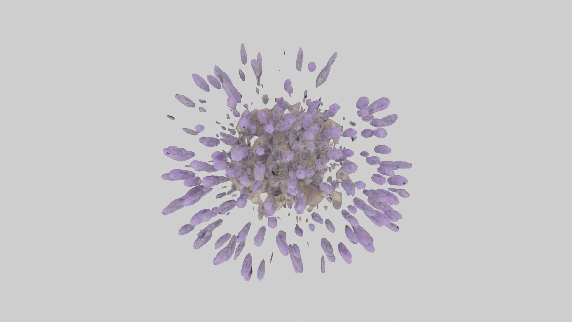Lavender model Low-poly 3D model_14