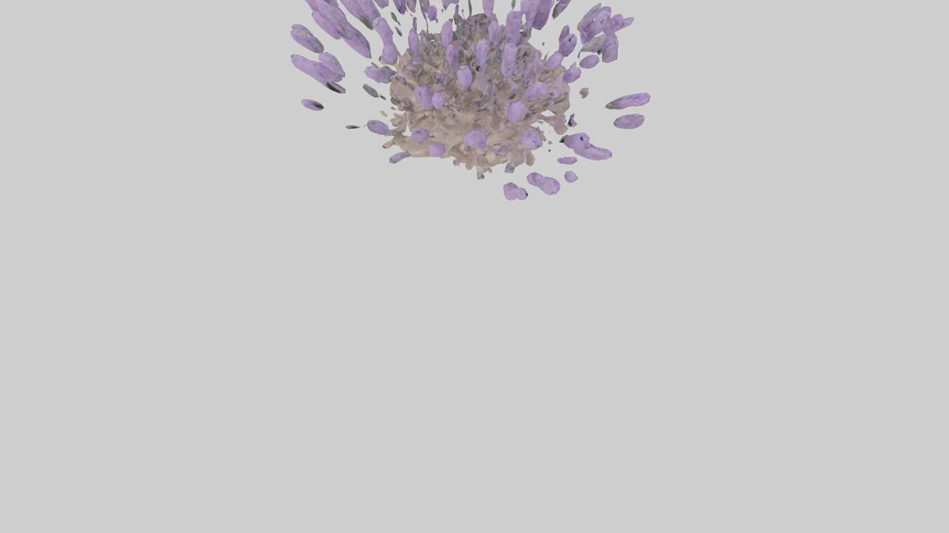 Lavender model Low-poly 3D model_5