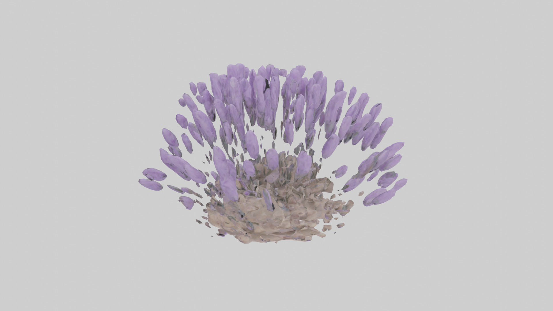 Lavender model Low-poly 3D model_7