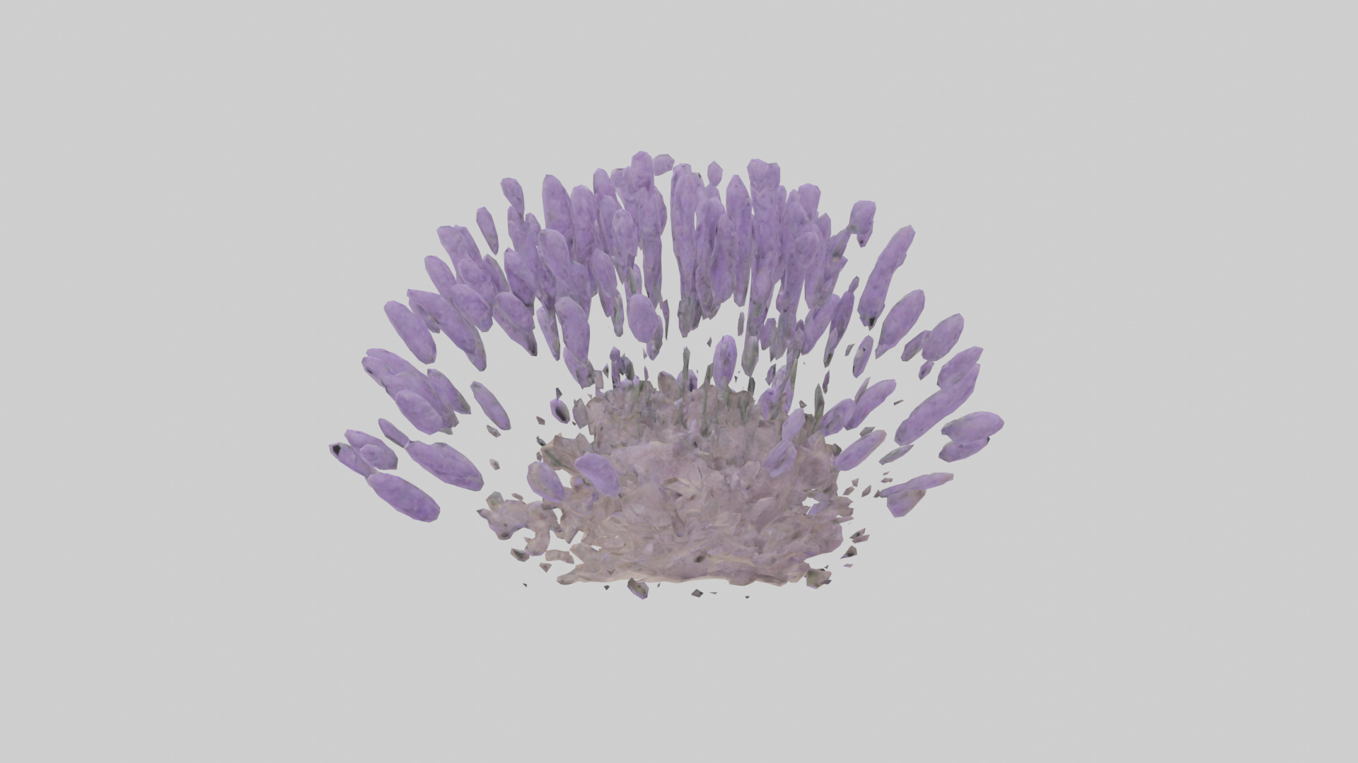 Lavender model Low-poly 3D model_1