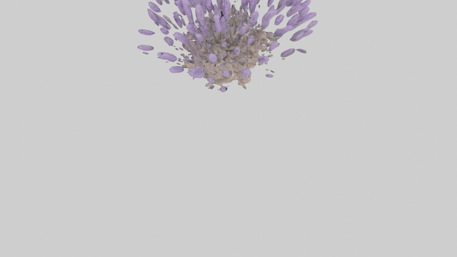 Lavender model Low-poly 3D model_6