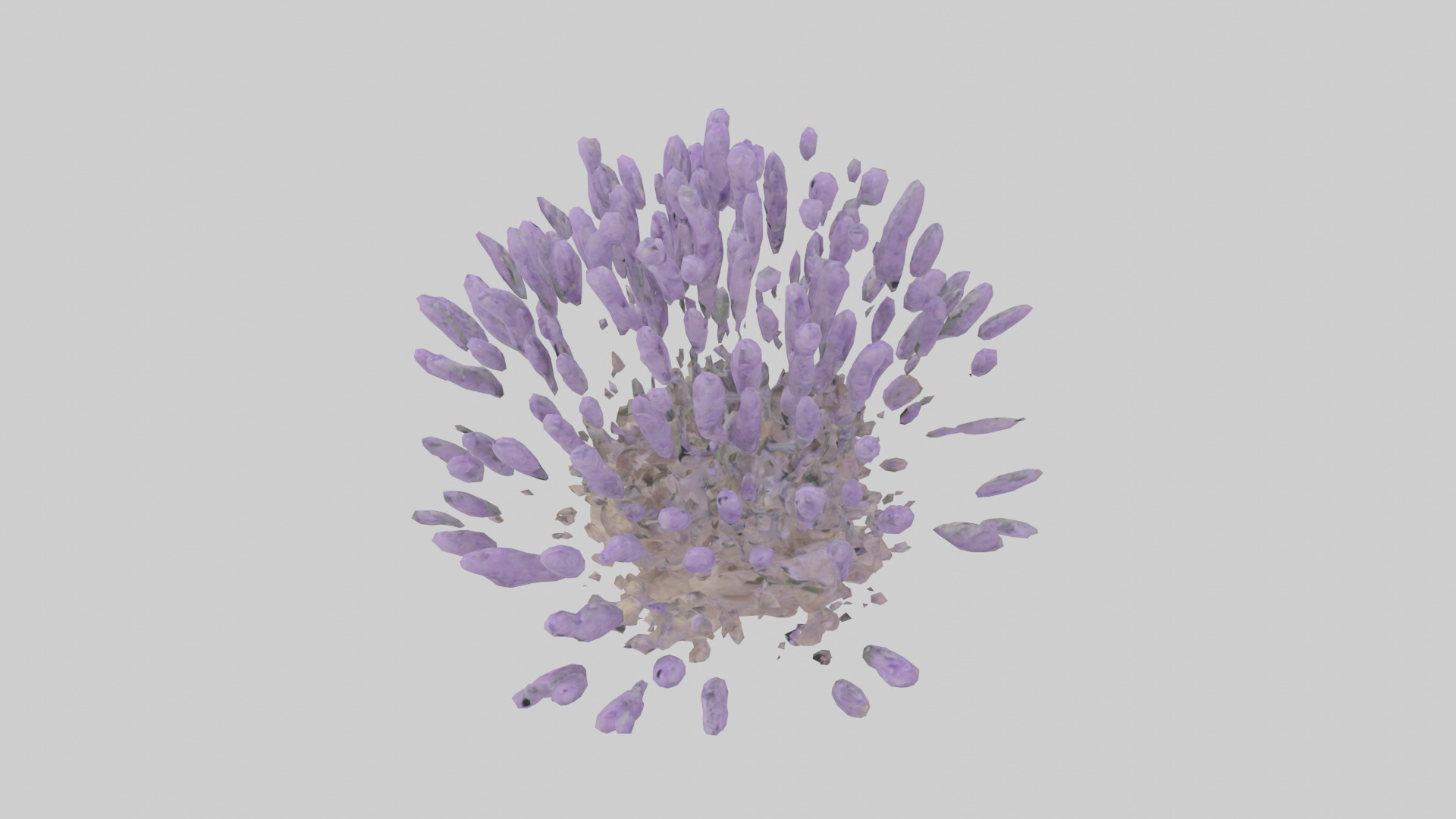 Lavender model Low-poly 3D model_17