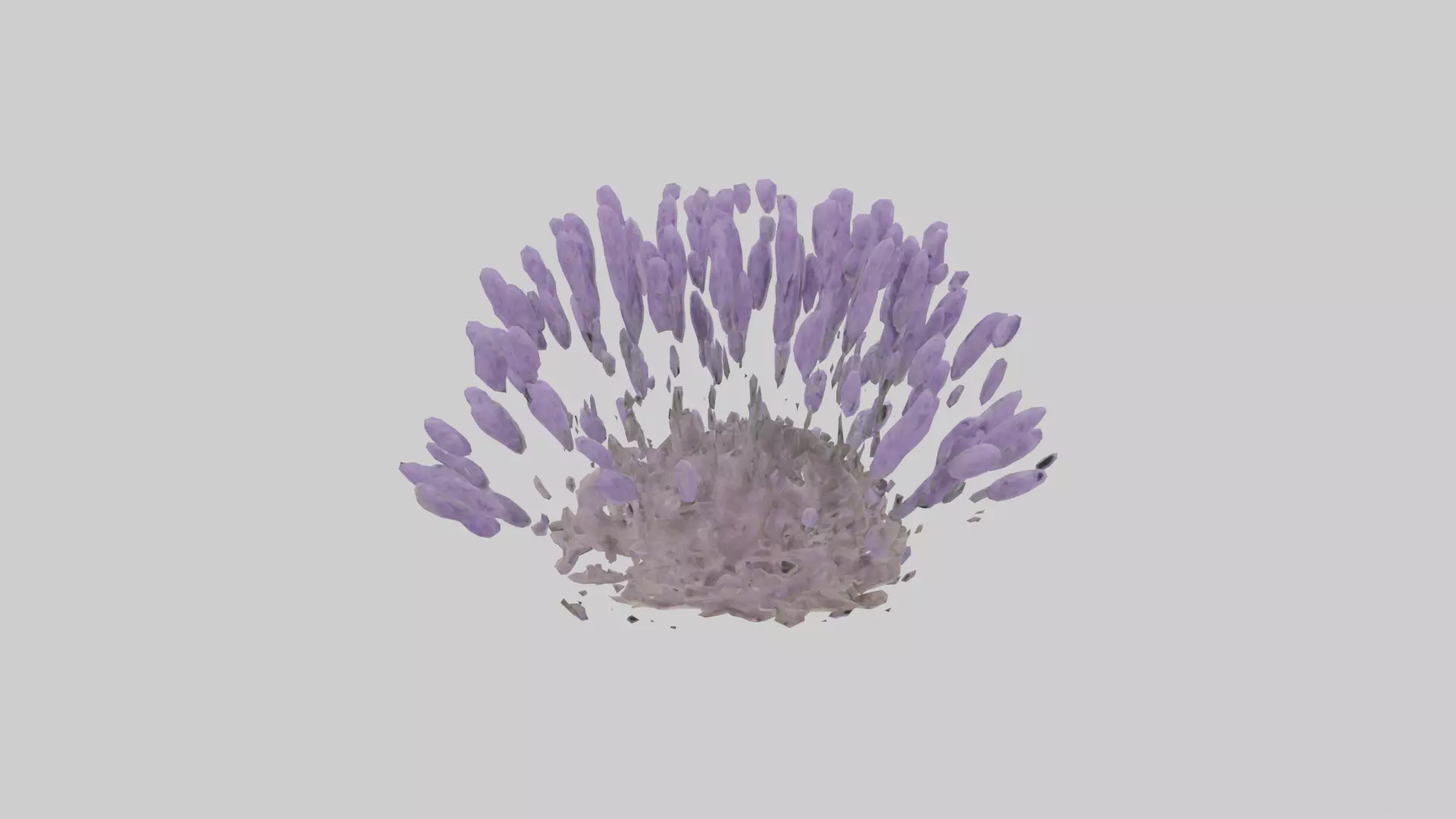 Lavender model Low-poly 3D model_0