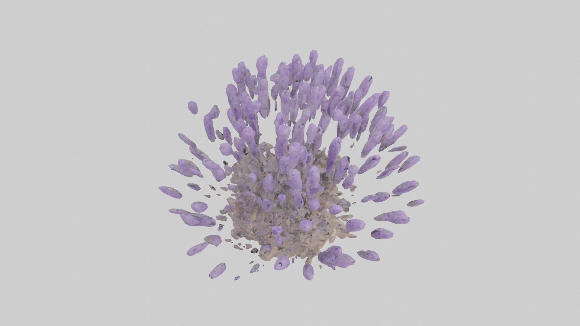 Lavender model Low-poly 3D model_18